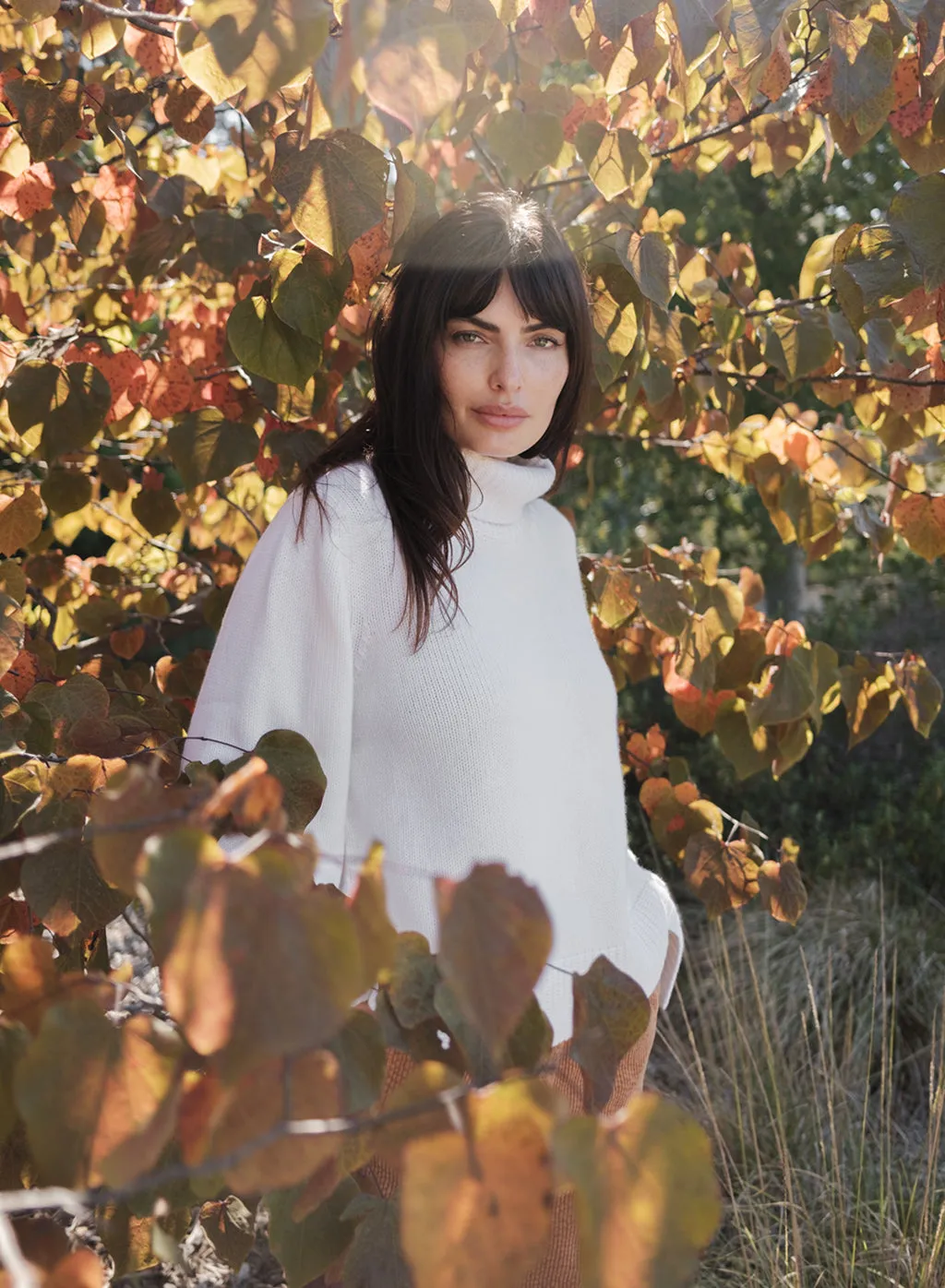 Cozy Cashmere Blend Turtleneck Sweater in Cream